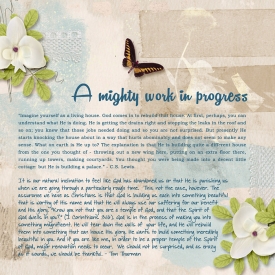 14-03-01-A-mighty-work-in-progress-700.jpg