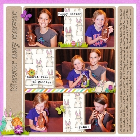 14-04-11-Never-say-never-700.jpg