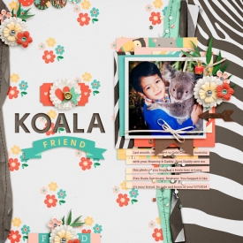 140703-firas-koala700.jpg