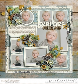 14PhotoPalooza461MadeOfStarsweb.jpg
