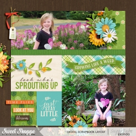 15-01-17-Sprouting-up-700b.jpg