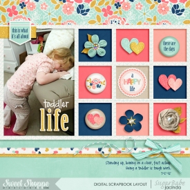 15-05-07-Toddler-Life-700b.jpg