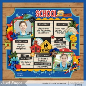 15-08-17-School-zone-700b.jpg