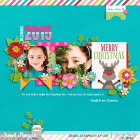 15-11-11-December-2015-700b.jpg
