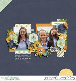 16-02-04-New-School-700b.jpg