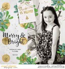 16-11-03-Merry-and-Bright-700b.jpg