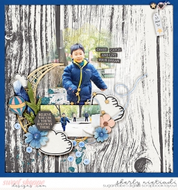 161113_j_chasingdreams-copy.jpg