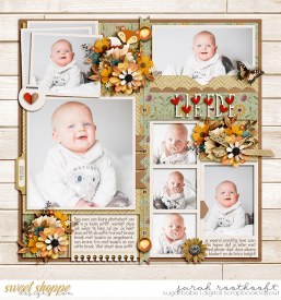 16PhotoPalooza89AMRNovemberweb.jpg