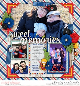 16_lsj_ayom-copy.jpg
