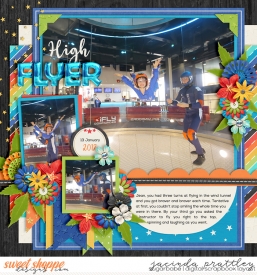 17-01-13-High-Flyer-700b.jpg