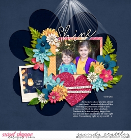 17-02-06-Shine-700B.jpg