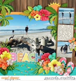 17-06-04-Beach-memories-700b.jpg