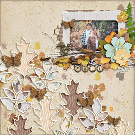 17-fd--riverrose-fallingslowly.jpg