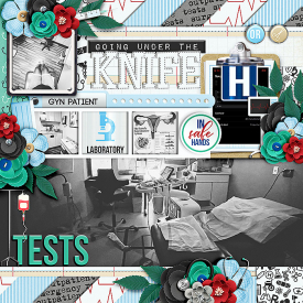 17-gu-mcreations-dvhospital-cschneider-HP366pg1.jpg