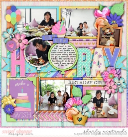 170103_mi_magicalbdayGirl-copy.jpg