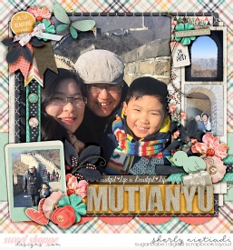 170131_lsj_everydaybeautiful-copy.jpg