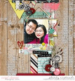170214_ls_ascl-copy.jpg