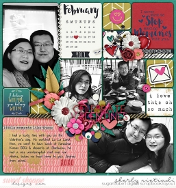 170214_ls_thislifefeb-copy.jpg