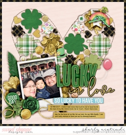 170218_lsj_stpattys-copy.jpg