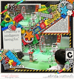 170909_j_masterbuilder-copy.jpg