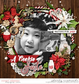 171211_j_reindeergames-copy.jpg