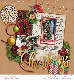171216_j_dis4dec-copy.jpg