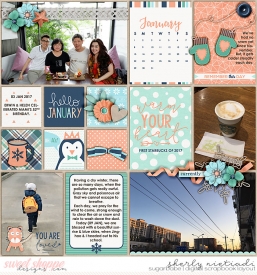 17jan_lsj_hellojanuary-copy.jpg