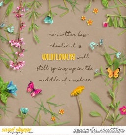 18-03-09-Wildflowers-700b.jpg