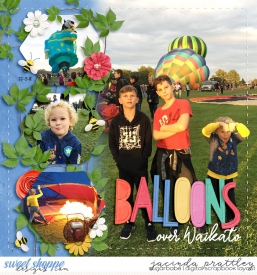 18-03-22-Balloons-over-Waikato-700b.jpg