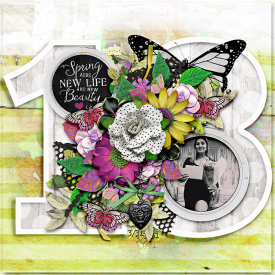 18-2-tnp-SPRINGFLING.jpg