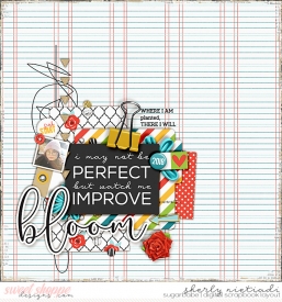 180112_s_wip-copy.jpg