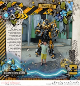 180203_j_transform-copy.jpg