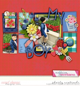 180430_j_berries-copy.jpg