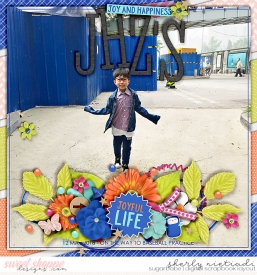 180512_j_joyful-copy.jpg
