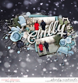 181231_ls_syswinter-copy.jpg