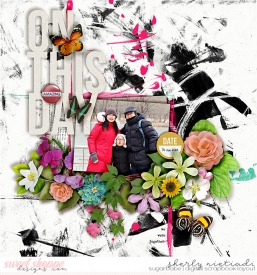 181231_lsj_bbpii-copy.jpg