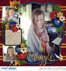 19-05-22-No-muggle-here-700b.jpg