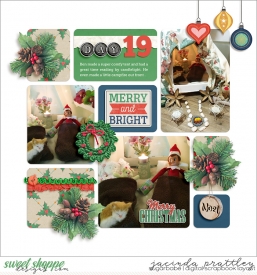 19-Elf-on-a-shelf-700b.jpg