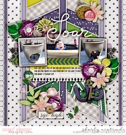 190213_j_soar-copy.jpg