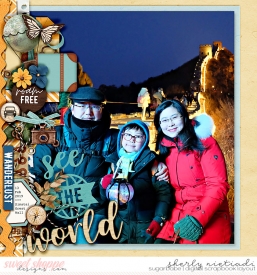 190213_lsj_ris4roam-copy.jpg