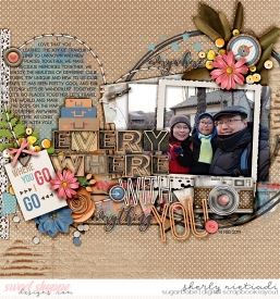190214_lsj_everywhere-copy.jpg