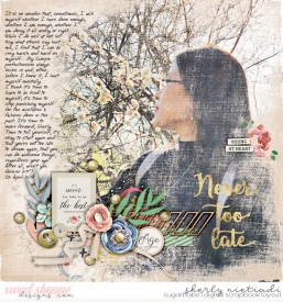 190402_s_never2late-copy.jpg