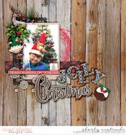191210_j_mistletoe_holly-copy.jpg