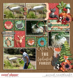 19PocketTempatations1ForestFriendsweb.jpg