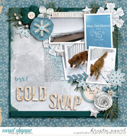 2-21-Cold-Snap-KristaSSD.jpg