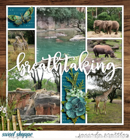 20-01-04-Wildlife-Safari-2-700b.jpg