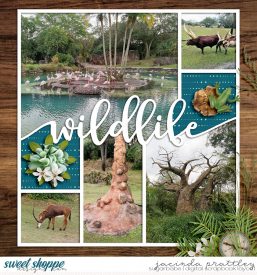 20-01-04-Wildlife-Safari-3-700b.jpg