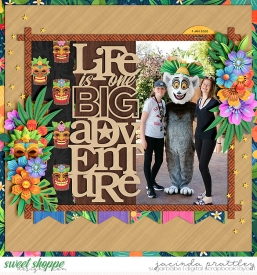 20-01-09-One-big-adventure-700b.jpg