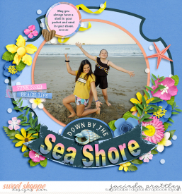 20-01-22-Sea-shore-700b.jpg
