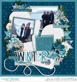 20-07-21-Winter-walk-700b.jpg